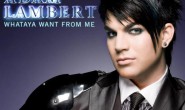《Whataya Want From Me》Adam Lambert 高品质 【MP3/FLAC】