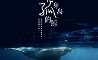 《化身孤岛的鲸》周深 高品质 【MP3/flac】